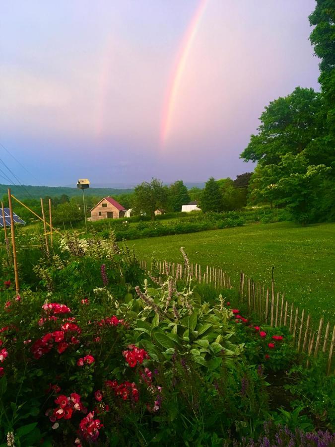 Enfield Manor Bed&Breakfast And Vacation Rental Newfield Exterior foto