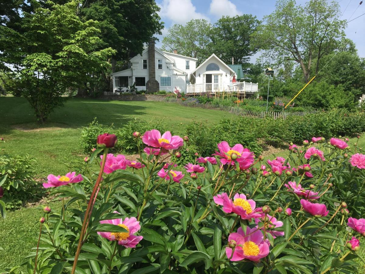 Enfield Manor Bed&Breakfast And Vacation Rental Newfield Exterior foto